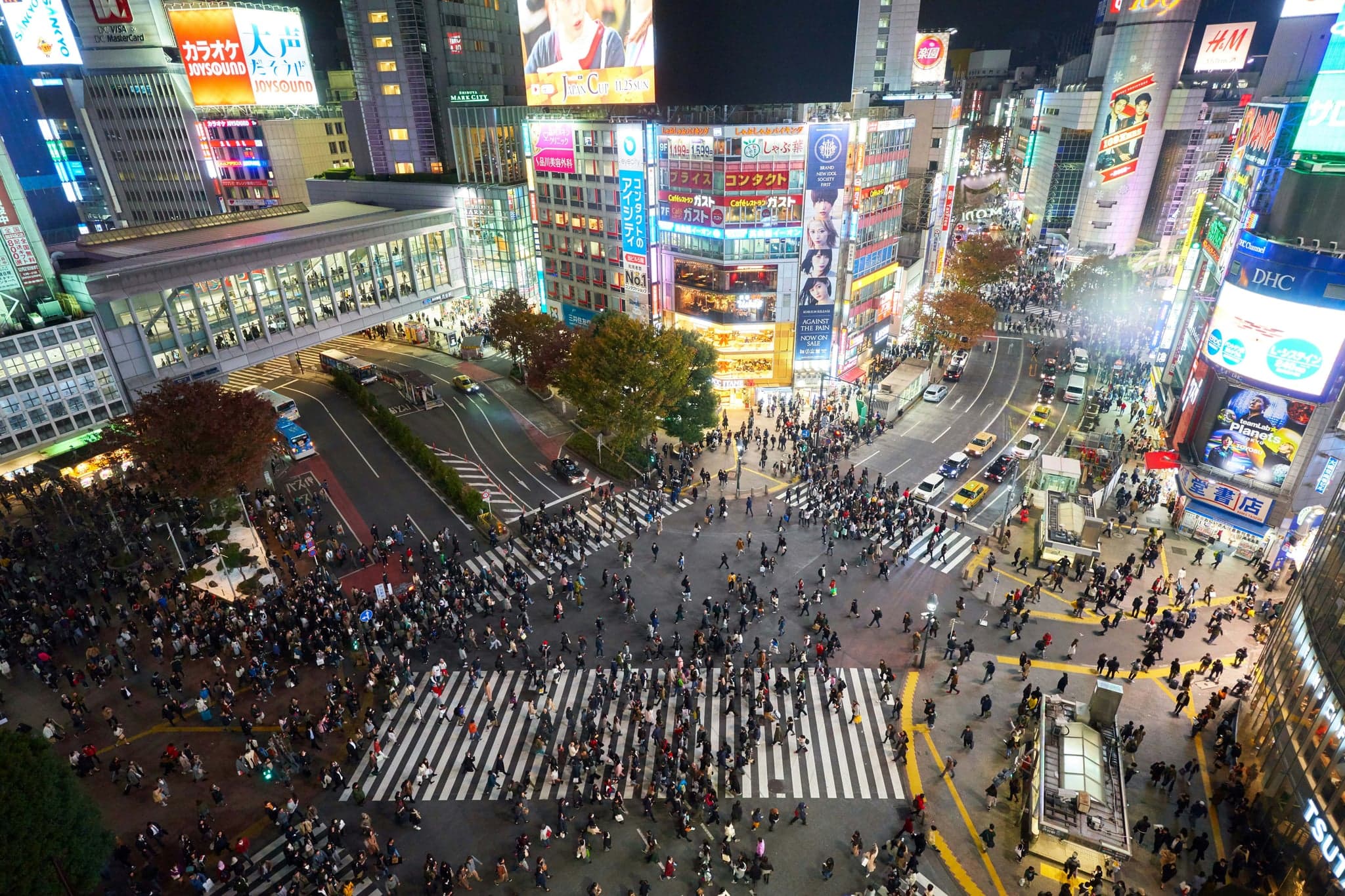 Things to Do in Tokyo: The Best Sights by Neighborhood, With Prices, Booking Rules and Day Trips