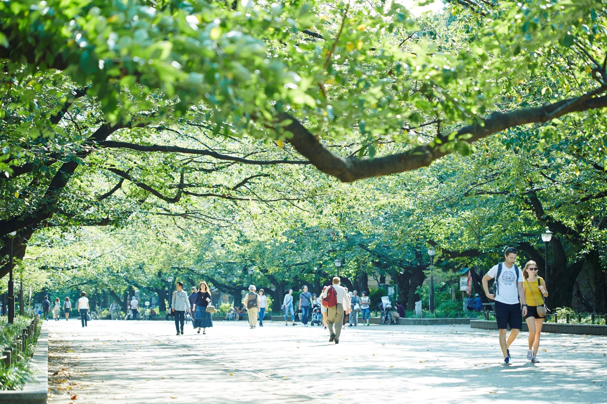 People walking along a wide, tree-shaded path through Ueno Park on a sunny day